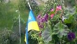 снег