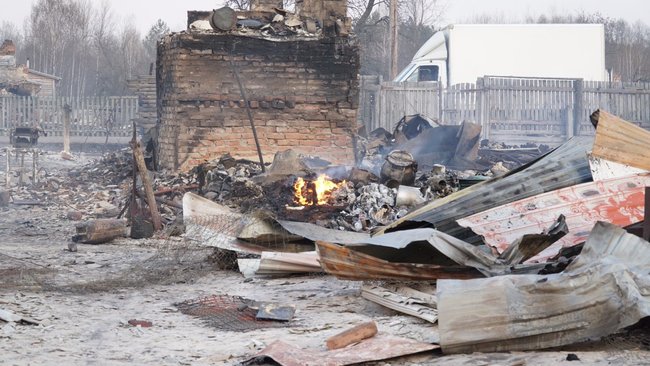 Причина лісових пожеж - приховування вирубки лісів, - Білецький показав кадри наслідків підпалів на Житомирщині 08 Причина лісових пожеж - приховування вирубки лісів, - Білецький показав кадри наслідків підпалів на Житомирщині 08