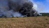Пожежа на Миколаївщині знищила 30 га зернових