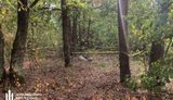 На Волыни обнаружили тело пограничника