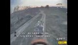 шершні
