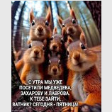 Пухнаті гості до ватників