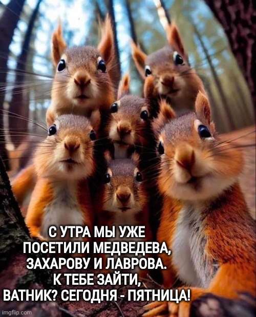 Пухнаті гості до ватників