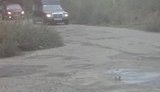 авто