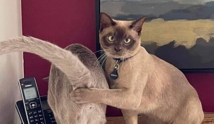 Не смотри на курс! ФОТОжабы на запрет выставлять на улице курс валют.