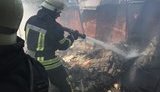 В киевском Гидропарке сгорел спортзал, - ГСЧС. ФОТОрепортаж