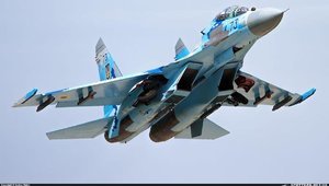 "Пилот пытался отвести самолет от села", - издание "Vежа" собрало свидетельства очевидцев о катастрофе Су-27 в Винницкой области. ФОТО