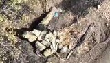 dozens of bullets hit occupier