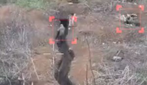 Десантники 82-ї бригади підірвали окупанта FPV-дроном у рові, поки поплічник стояв і дивився. ВIДЕО