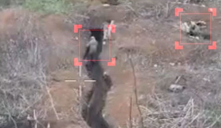 Десантники 82-ї бригади підірвали окупанта FPV-дроном у рові, поки поплічник стояв і дивився. ВIДЕО