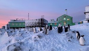 Визначено склад 27-ї Української антарктичної експедиції, - НАНЦ. ІНФОГРАФІКА