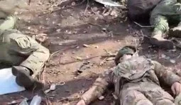 Russians lying in the woods