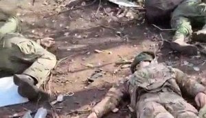 Семеро ліквідованих окупантів валяються у переліску на узбіччі дороги поблизу Покровська. ВIДЕО