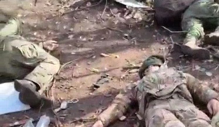 Семеро ліквідованих окупантів валяються у переліску на узбіччі дороги поблизу Покровська. ВIДЕО