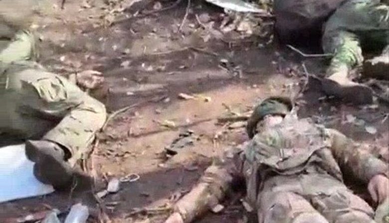 Seven eliminated invaders lie in bushes on side of road near Pokrovsk. VIDEO