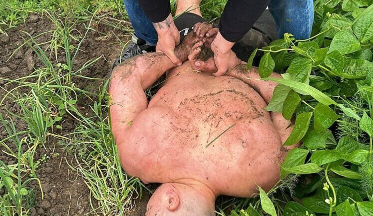 Поліція встановила причетних до нападу на ексвійськового у Дніпрі за участю Тищенка. ФОТОрепортаж