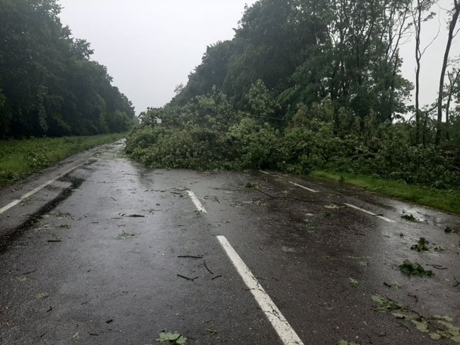 Жінка загинула через негоду у Львові 05