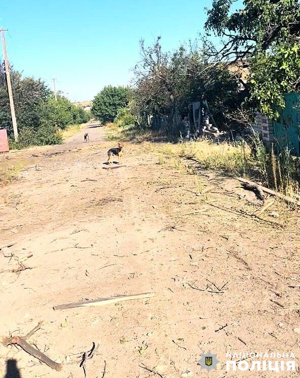 Окупанти не припиняють обстрілів Херсонщини: наслідки за 28 червня