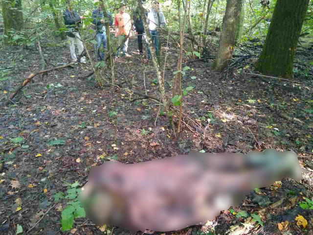 Убийство грибника раскрыли с помощью полиграфа 05