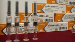 Ukraine to manufacture Sinovac flu and COVID-19 vaccines
