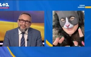телемарафон, квадробер