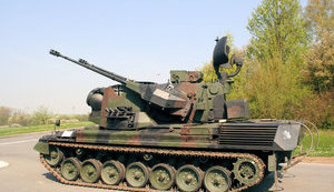 гепард