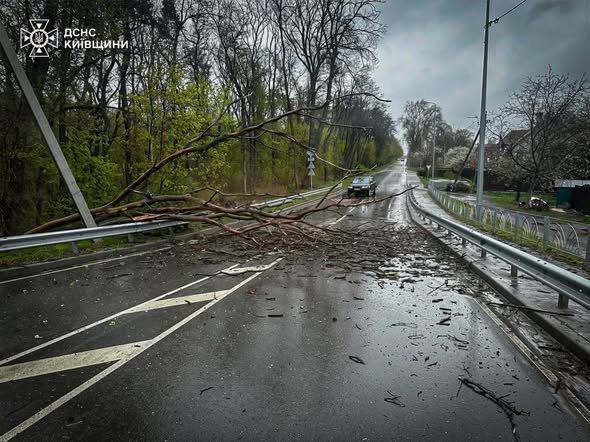 В Украине из-за непогоды погибли два человека, еще двое получили травмы