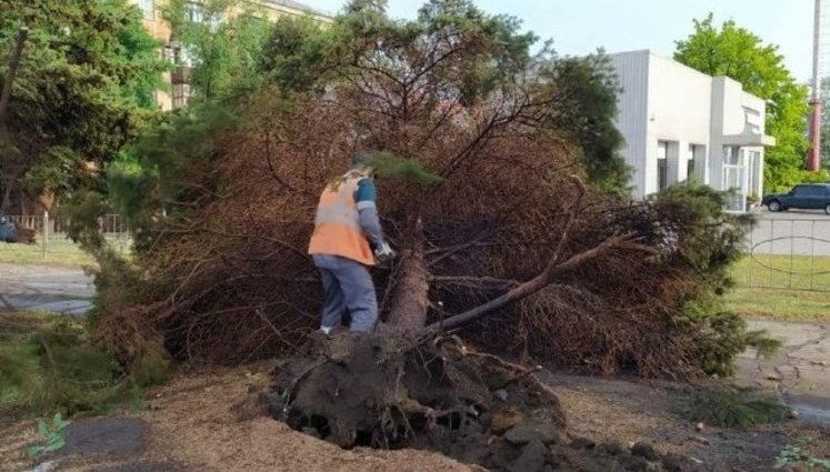 Стихия в Мариуполе повалила деревья и обесточила часть города, - горсовет. ФОТОрепортаж
