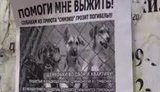 собаки