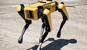 boston,dynamics