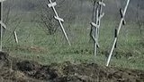 На Донбассе бомжей и одиноких хоронят в "братских траншеях", но закапывают не сразу. ВИДЕО