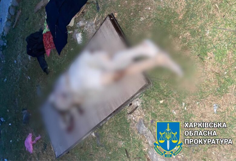 Наслідки обстрілу села Подоли на Харківщині: Загинула жінка, чоловік дістав поранення, зруйновано будинок 04