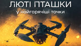 люті,пташки