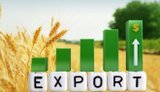 У вересні агроекспорт України відновився із 30% до 44% від потенційного обсягу, ‒ Висоцький
