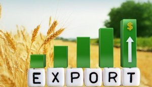 У вересні агроекспорт України відновився із 30% до 44% від потенційного обсягу, ‒ Висоцький