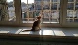 Коронавирус в тюрьмах: Офис генпрокурора просит Кабмин разработать превентивные меры
