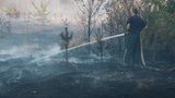 Десять гектарів лісової підстилки горить біля Гончарівського полігону на Чернігівщині, - ДСНС