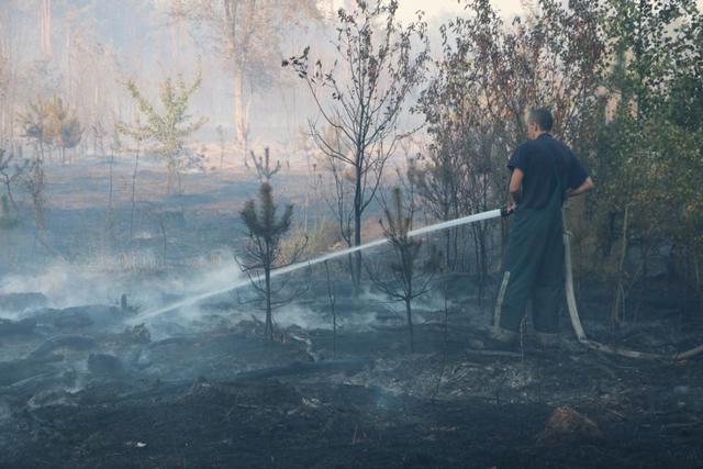Пожежу біля Броварського проспекту в Києві локалізовано, - ДСНС 03