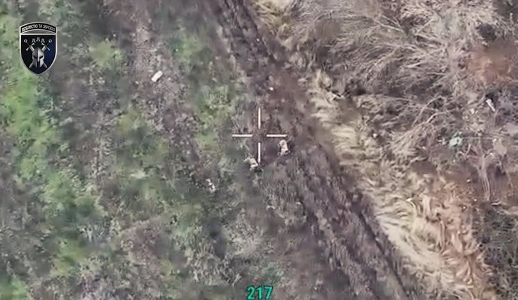 Українські захисники взяли в полон російську піхоту на Покровському напрямку. ВIДЕО