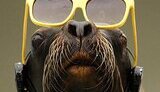 На Земле произошло самое продолжительное в XXI веке солнечное затмение. ФОТОрепортаж.