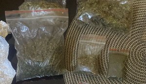 Поліція знищила плантацію конопель та вилучила наркотиків на 3,5 мільйона гривень на Львівщині. ФОТОрепортаж