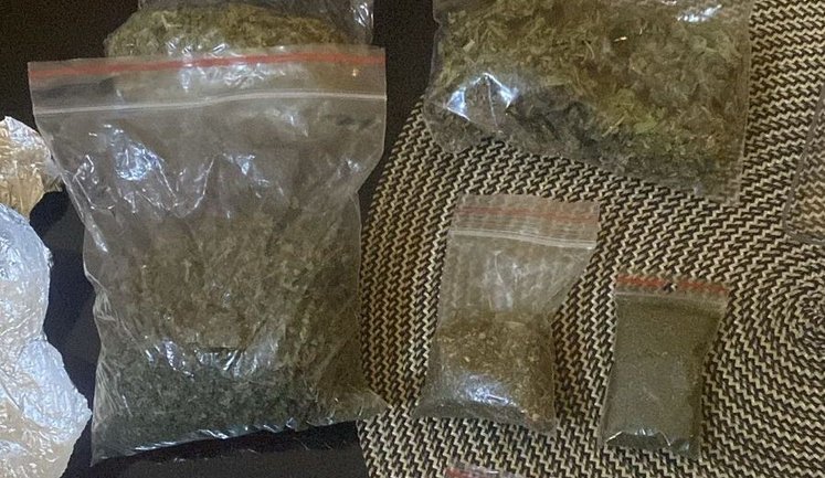 Поліція знищила плантацію конопель та вилучила наркотиків на 3,5 мільйона гривень на Львівщині. ФОТОрепортаж