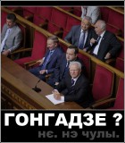 Гонзадзе?