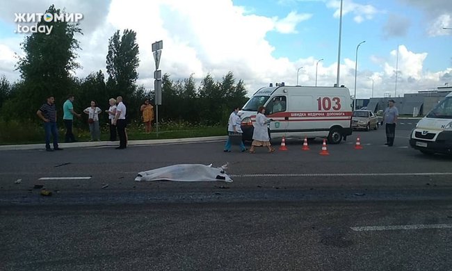 Страшна ДТП на трасі Київ - Чоп: маршрутка врізалася у вантажівку - 10 загиблих, ще 10 осіб травмовано 09