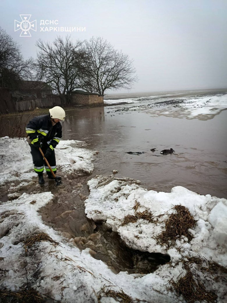 Consequences of flooding in the Kharkiv region