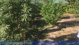 Бывший правоохранитель организовал канал сбыта наркотиков из Украины в РФ, - СБУ. ФОТОрепортаж