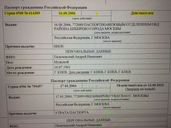 Кандидат в мэры Киева Пальчевский является гражданином РФ 02