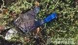 Чоловік на очах у дітей зарубав свою дружину сокирою, - поліція Дніпропетровщини. ФОТО