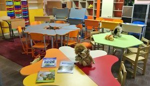 Чому регіони не змогли освоїти гроші на Нову українську школу
