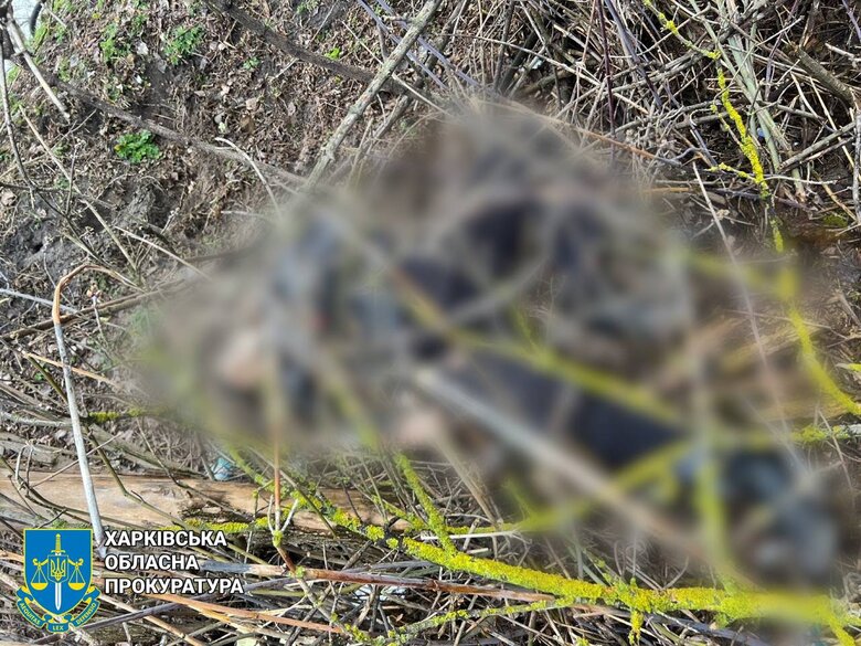 Наслідки ворожих обстрілів Куп’янщини 06